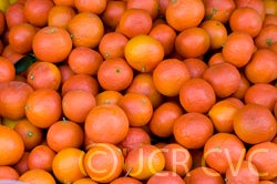 Fremont mandarins lot