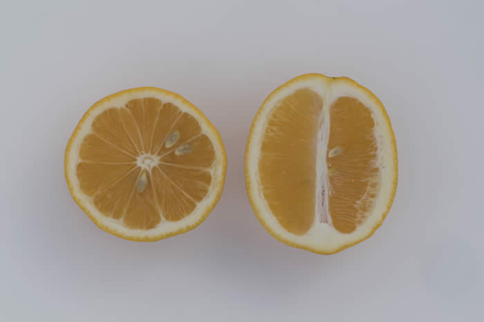 Meyer Lemon — Citrus Men