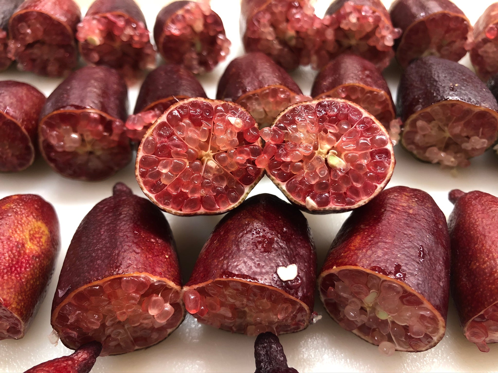 Dexter Rosefire P2014-175-42 005