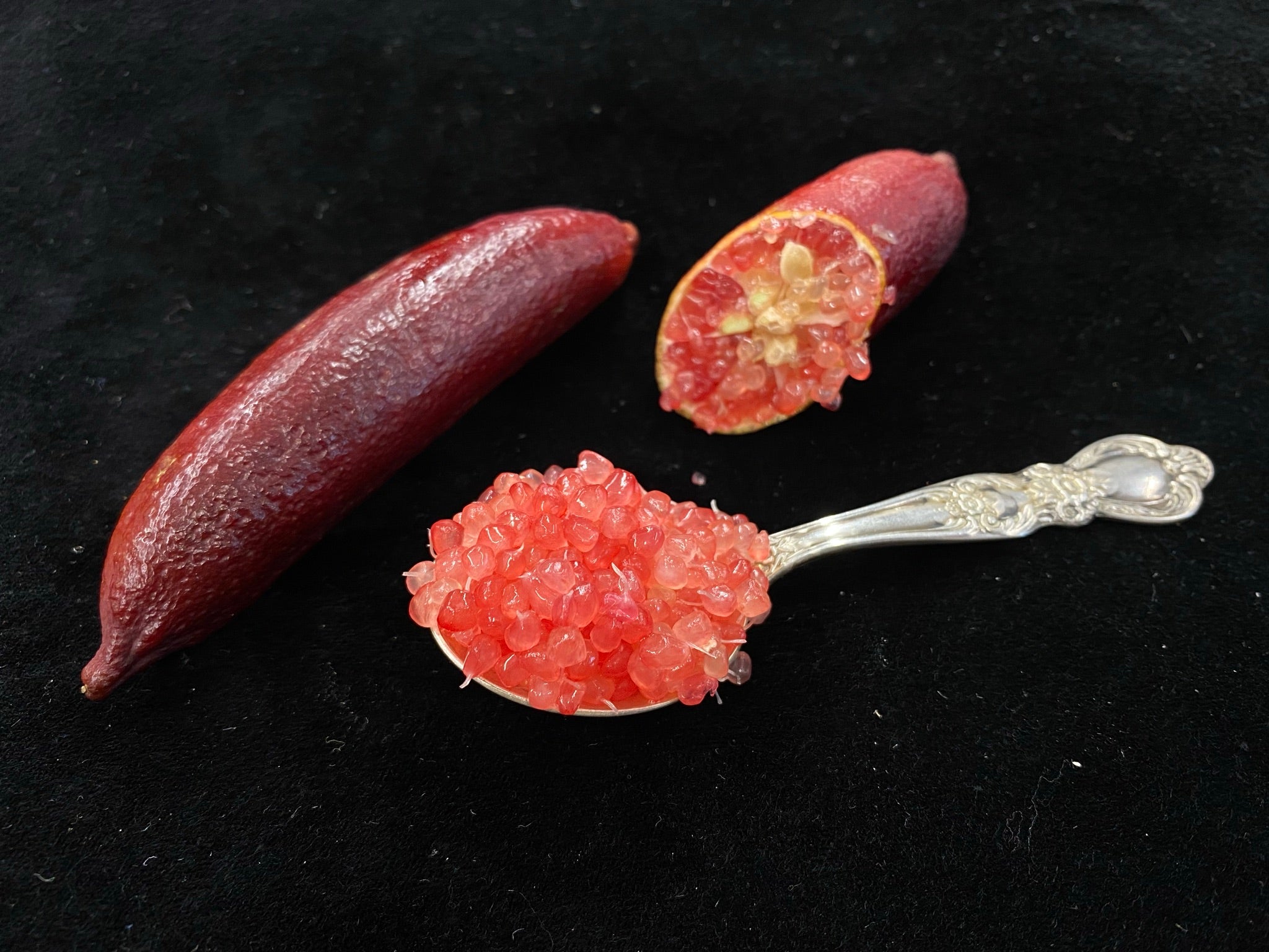 Porfirio P2014-175-01 005