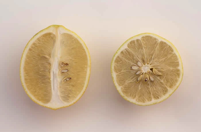 Unnamed lemon hybrid crc3154006.jpg