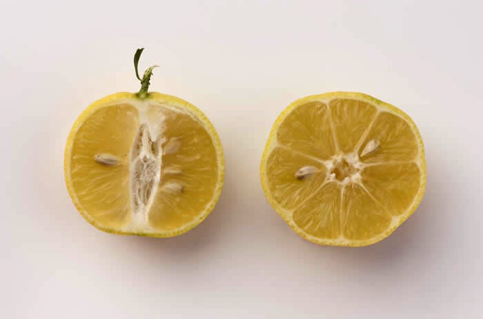 Unnamed lemon hybrid crc3172006.jpg