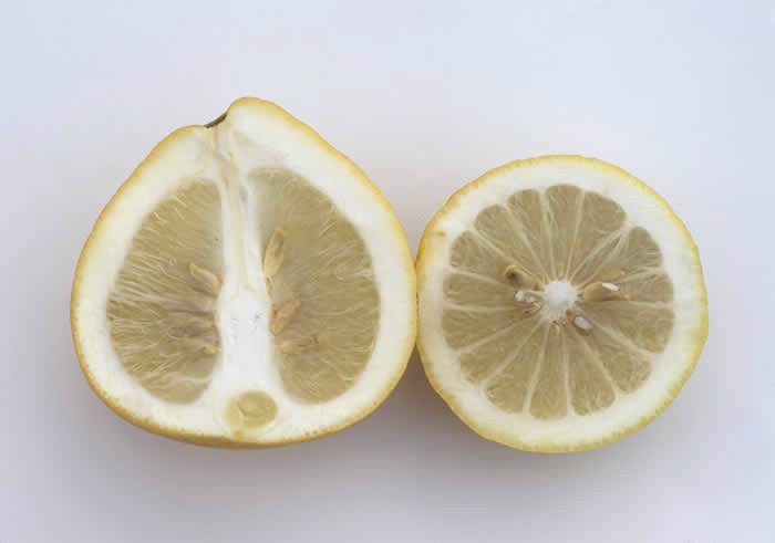 Unnamed lemon hybrid crc3748012.jpg