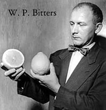 W.P. Bitters holding citrus